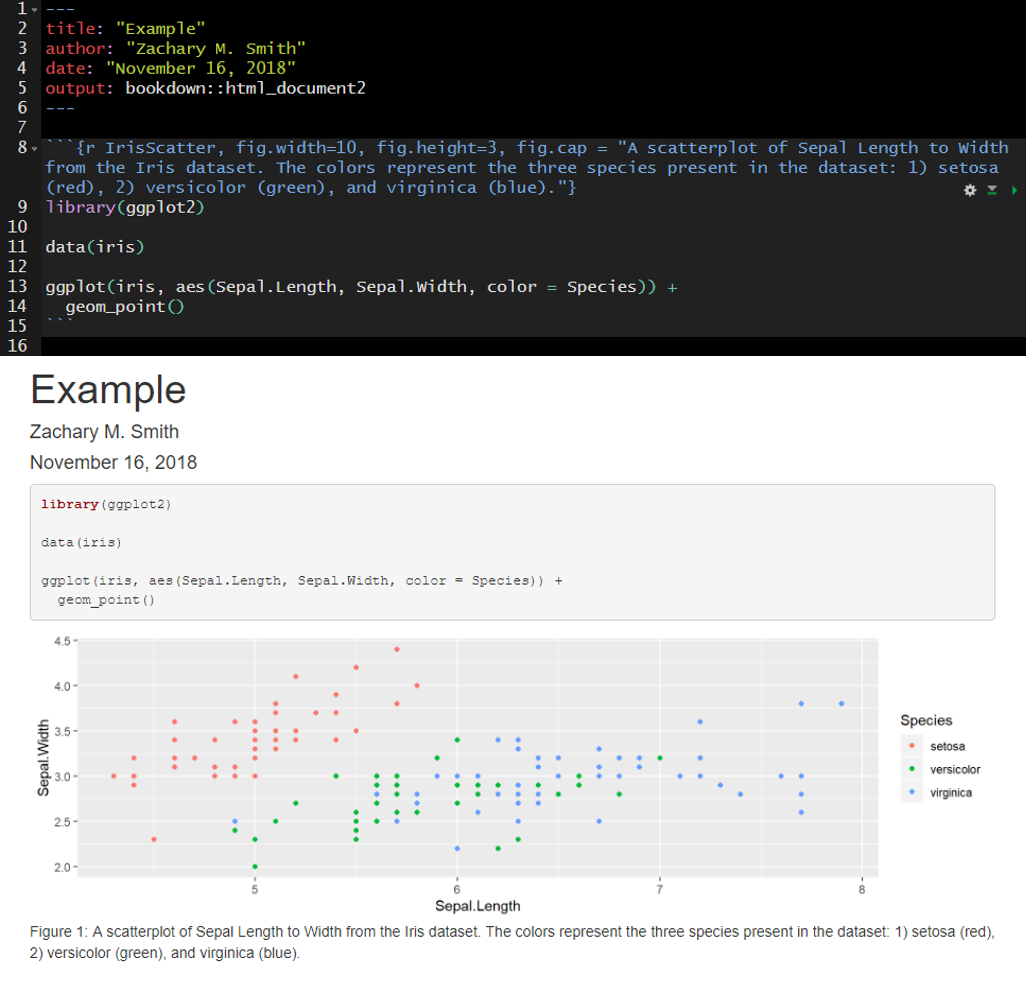 r markdown chunk options